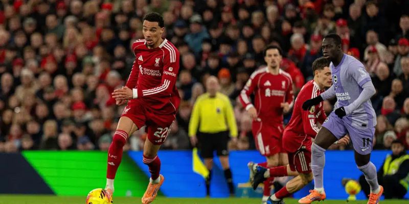 Brighton vs Liverpool chưa quá ổn định